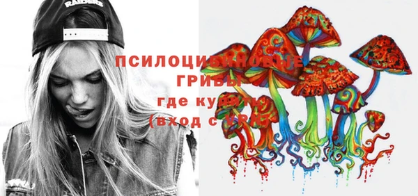 винт Алексеевка